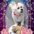 Sue N Chuck Middlebrook's profile image