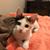 Anita Riley's profile image