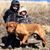 Corey Baumann's profile image