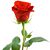 DeAnna Collings Cole's profile image