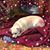 Sherry Aikins's profile image