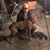 Tina Westlin's profile image