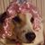 Sabrina Alderman's profile image