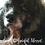Donna Onder's profile image