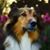 Tracey Westbury's profile image