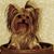 Terry Hodge's profile image