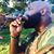 Andre Brooks's profile image