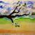 Alisa Evans-Pirtle's profile image