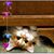 Ana Celia Delgadillo's profile image