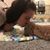 Kimberly Marguccio's profile image