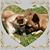 Lynn Oshiro's profile image