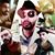 Stevo Russell's profile image
