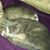 Suz Estes's profile image