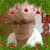 Ursula Peters's profile image
