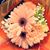 Nozomi Yamawaki's profile image