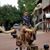 Kathy Huskey's profile image