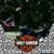 Robert Ayen Sr.'s profile image