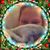 Shannon Dodd's profile image