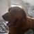Sarah Beardsley's profile image