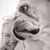 Tiina Matikainen's profile image
