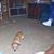 Rose Wagens's profile image