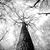 Ruth Reese's profile image