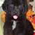 Trish Luensmann's profile image