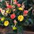 Bethel Pate-Walski's profile image