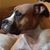 Heike Salewski Smith's profile image