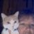 Tiggergirl Mitchell's profile image