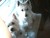 Doreen C.'s profile image