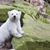 Edward Bear's profile image