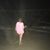 Erin Gurrera's profile image