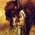 Búfalo LC's profile image