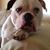 Tilly Giellis's profile image
