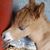 Gretchen Stanley's profile image
