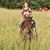 Rachel Petermann's profile image