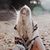 Ges Lorraine's profile image