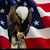 Michele Guy-Alvarez's profile image