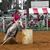 Dannette Plaster-Williams's profile image
