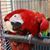 Vickie Heikes Meldrum's profile image