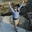 Emily Chien's profile image