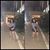 Katherine Rodriquez's profile image