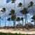 Anna Gois Barcelos's profile image