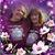 Diane Peterson's profile image