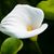 Elizabeth Sandoval Rodriguez's profile image