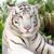 Linda Banta's profile image