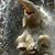 Lisa Edwards Demaree's profile image