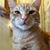 Kathy Harrington's profile image
