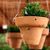 Clarice Perrone's profile image